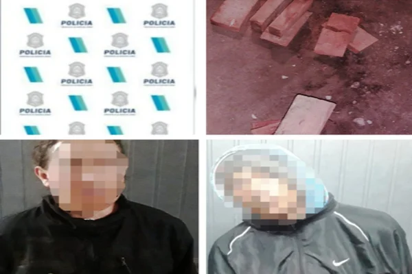 LADRONES DE LADRILLOS