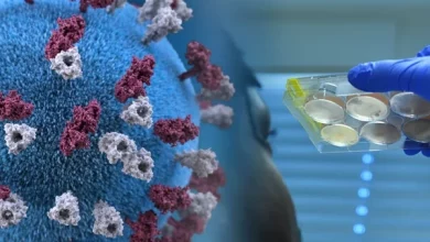 En esta jornada se realizaron 116.618 testeos que arrojaron un índice de positividad de 29,07%.