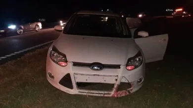 Tres automóviles embistieron un equino en la autopista