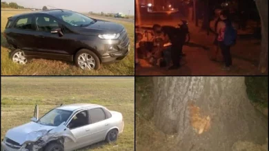 Colisionó una moto contra un árbol