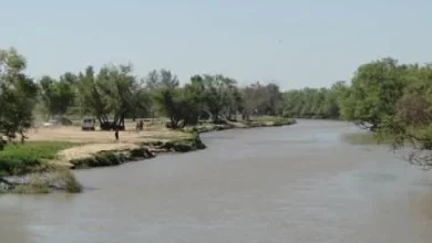 Hallaron un cráneo y restos humanos en una finca cercana al Arroyo del Medio