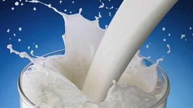 Leche