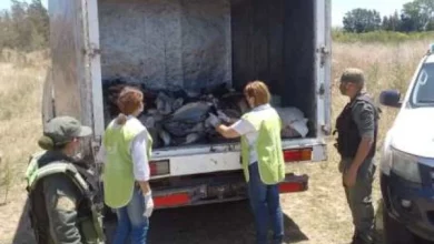 Incautaron 1500 kilos de pescado