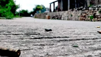 Rescatan a 16 personas sometidas a trabajo esclavo en una quinta de La Plata