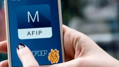 IFE para monotributistas