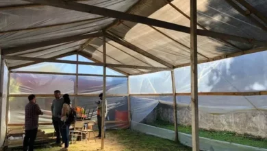 Inauguración del nuevo invernadero municipal “Bernardo Teodoro Andino” en el Cim Calcuta