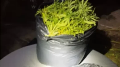 Interviene la UFI Nº 1.