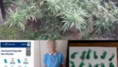 Interviene la UFI Nº 12.