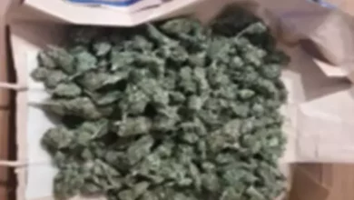 Interviene la UFI Nº 4.