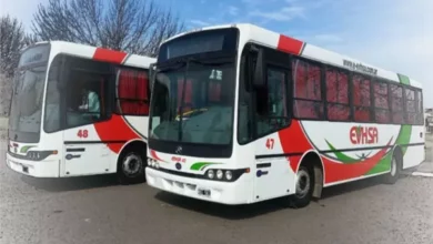 Desde el jueves se levantaría el paro de colectivos