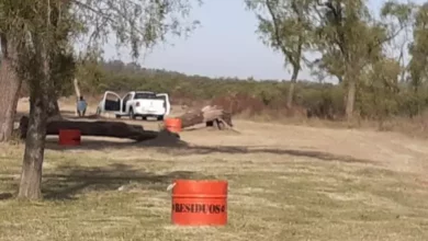 Recuperación de espacios verdes en la zona de la costa