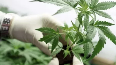 El convenio permitirá intercambiar conocimiento científico y tecnológico con “garantía institucional”.