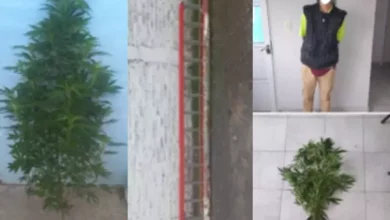 Interviene la UFI Nº 13.