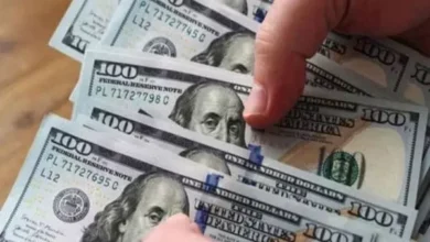 El dólar blue mantuvo su récord y cerró en $224