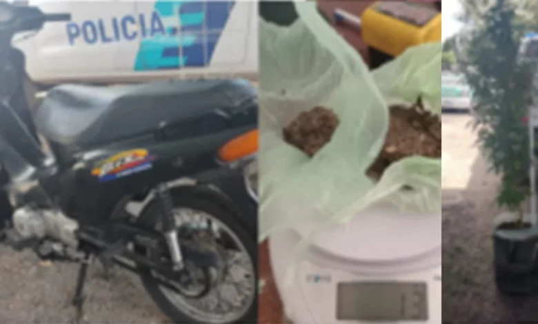 Secuestran moto robada, droga, 4 celulares y una planta de marihuana