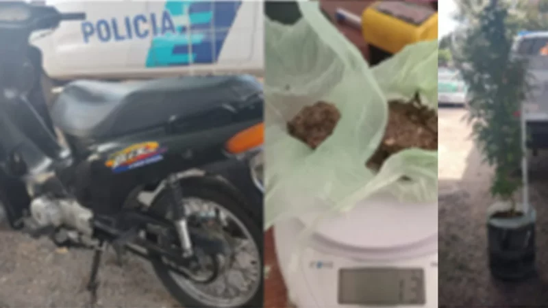 Secuestran moto robada, droga, 4 celulares y una planta de marihuana