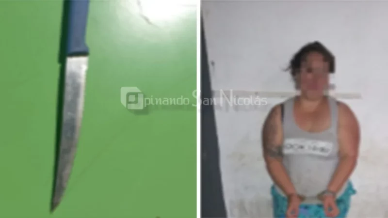 Violencia extrema: golpeó y apuñaló a su madre