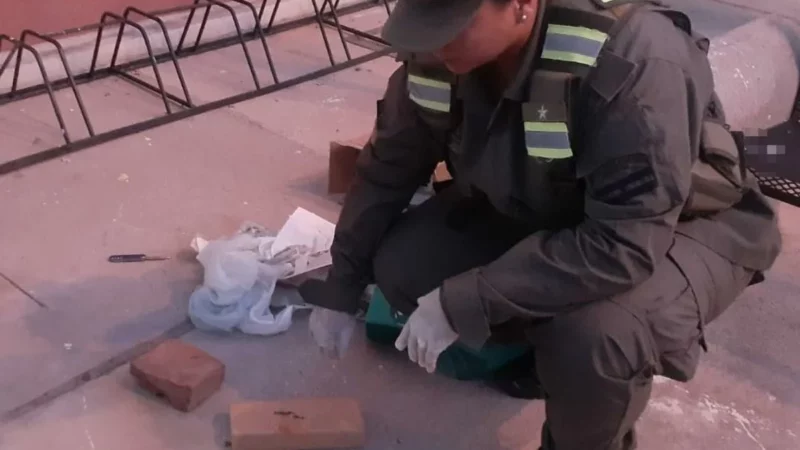 Intervino el Juzgado Federal de San Rafael que dispuso el secuestro del estupefaciente.