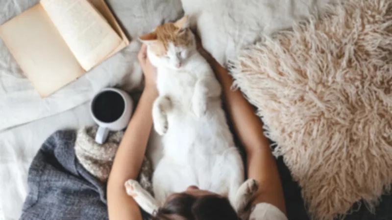 Los niños se ven beneficiados al criarse con un gato ya que les permite generar confianza y sociabilizar con otros (Getty Images)
