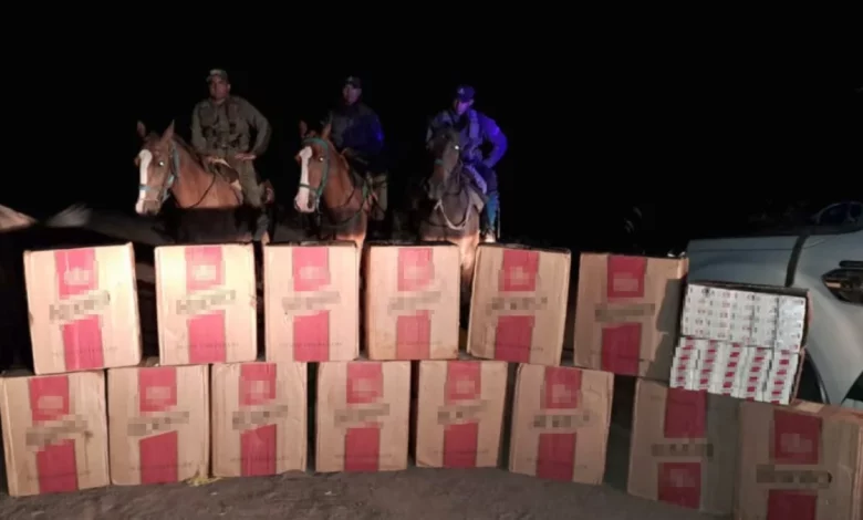 Trasladan 7.500 atados de cigarrillos ilegales en tres caballos