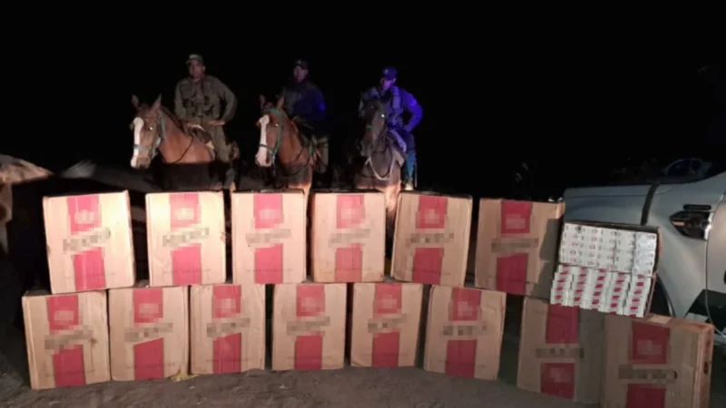 Trasladan 7.500 atados de cigarrillos ilegales en tres caballos