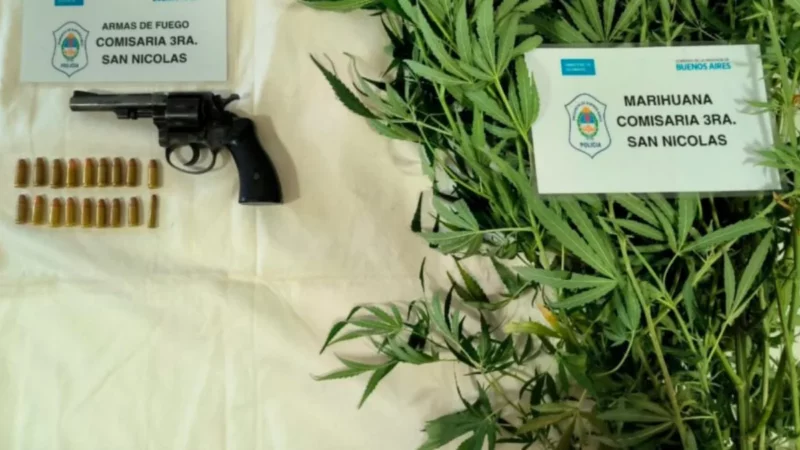 Secuestran dos plantas de marihuana, un revólver y municiones