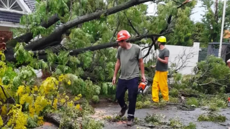 Villa Constitución: una tormenta severa causó grandes daños en toda la zona