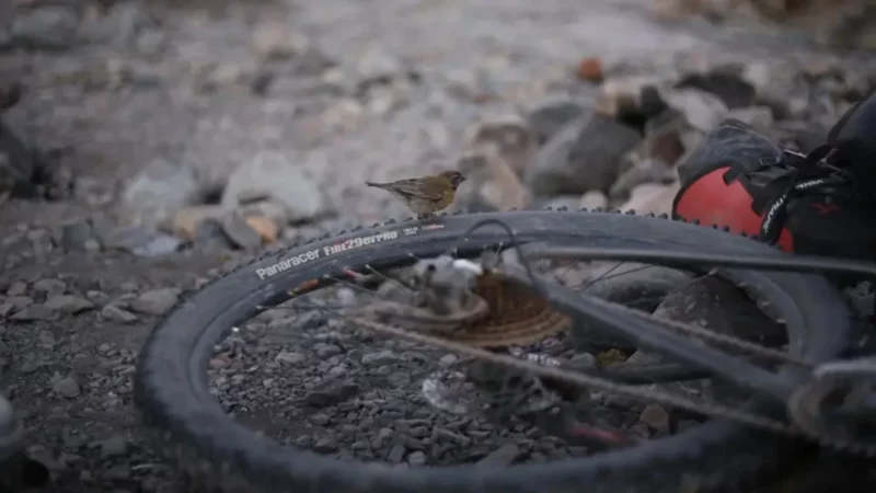 Importante herramienta de trabajo sustraída en zona de Savio