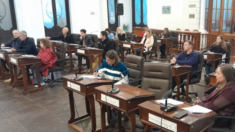 Posturas Divergentes ante la Medida Adoptada por el Concejo
