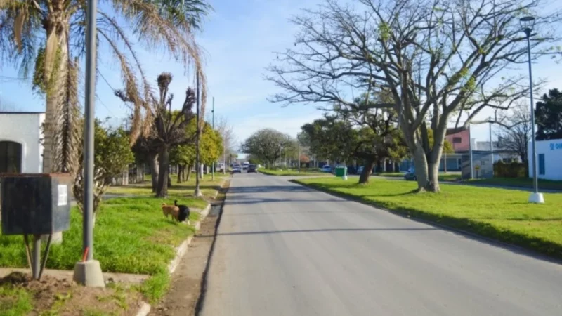 Modernización y eficiencia lumínica: Iluminación LED en Avenida Savio