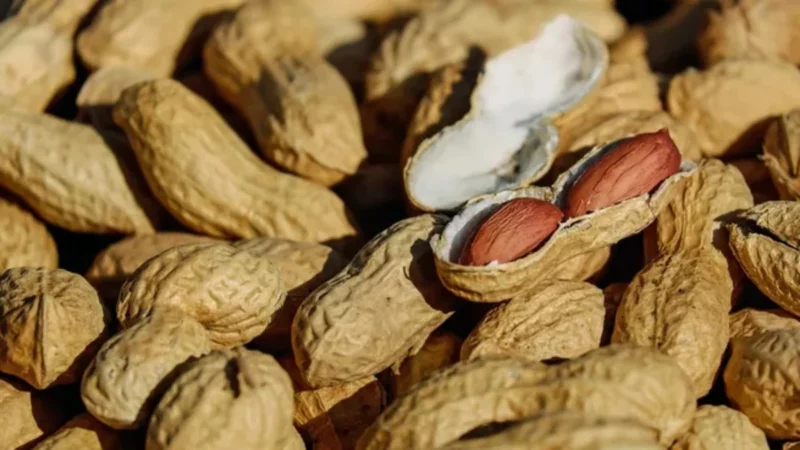 Impacto de la sequía en la producción de maní