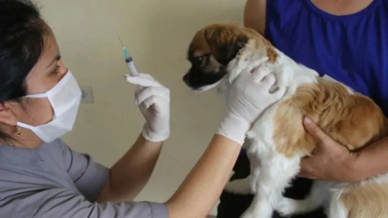 El tráiler estará ubicado en barrio Lanza.