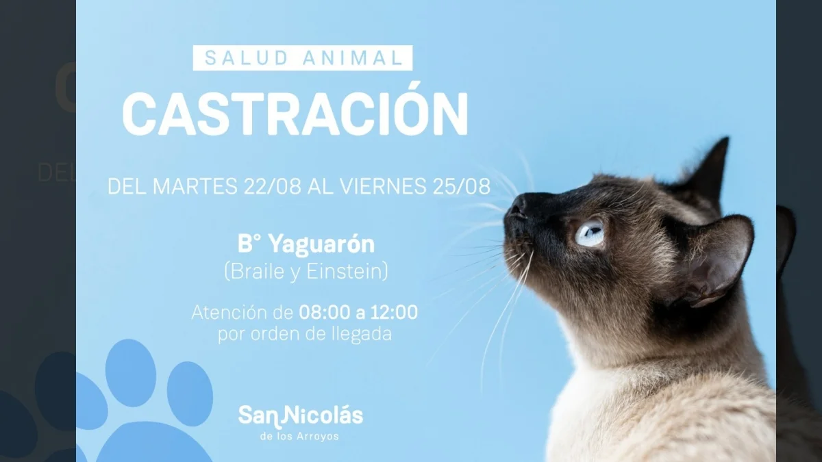 barrio Yaguarón