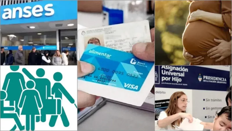 Tarjeta Alimentar Agosto 2023