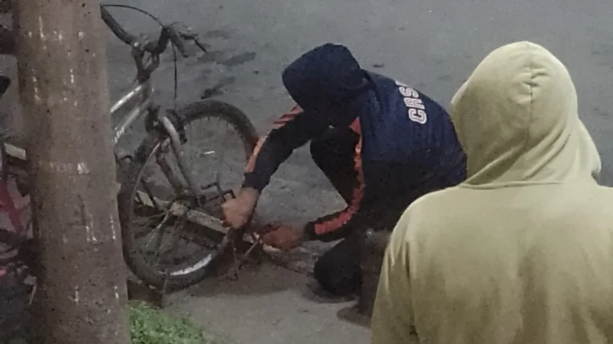 bicicleta