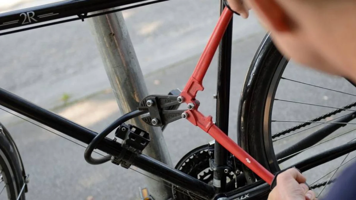 bicicletas
