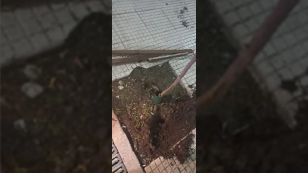 menor de 16 años