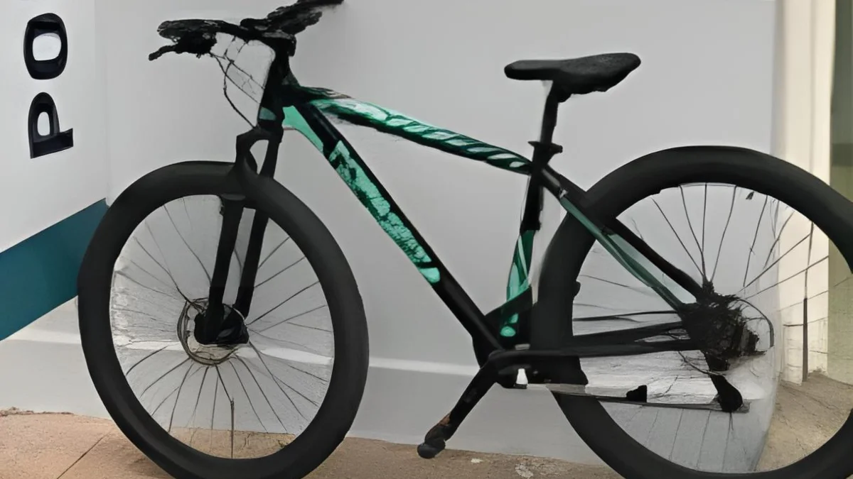 bicicleta