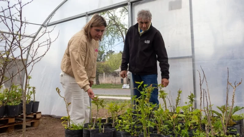 del Puerto de San Nicolás