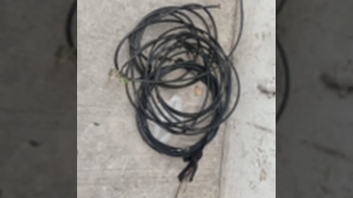 robando cableado telefónico