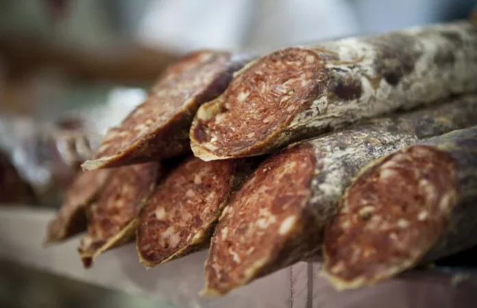 Nuevo brote de Triquinosis en Buenos Aires con 219 casos confirmados en 2023