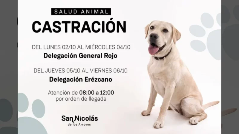 El tráiler de castración