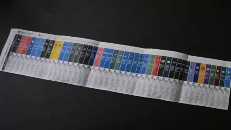 Boleta Única de Papel 2025