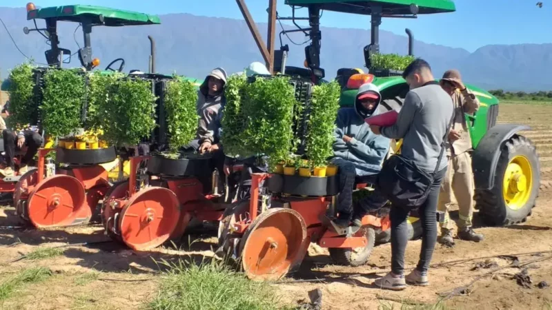 UATRE escala salarial