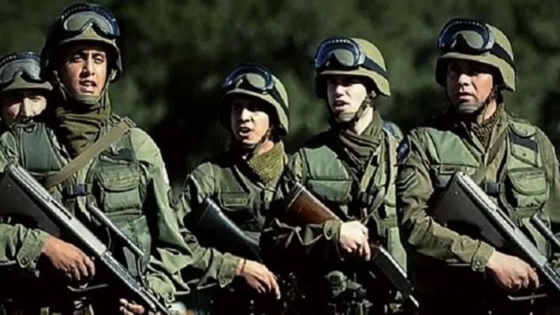 milei fuerzas armadas