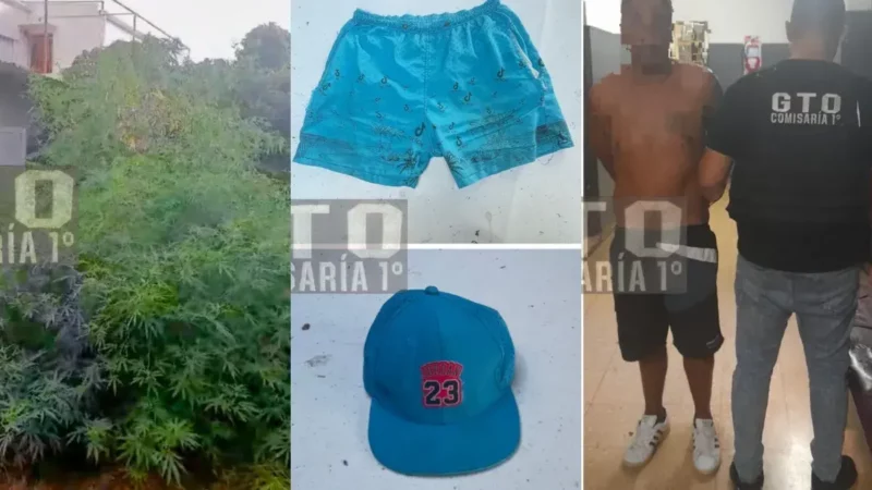 Allanamiento por robo