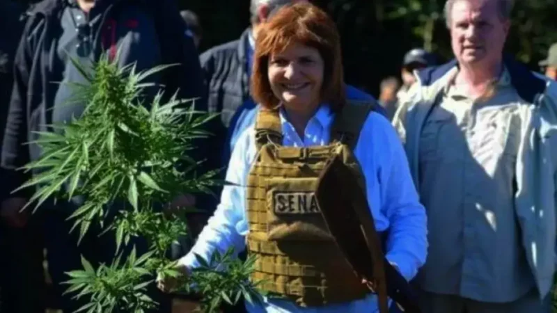 Bullrich anulará REPROCANN