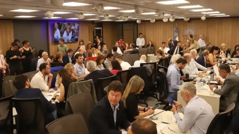 Ficha Limpia Congreso