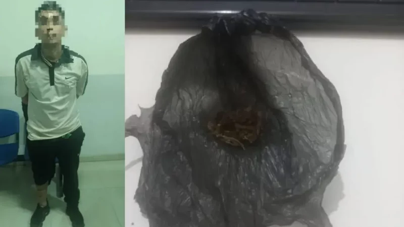 violación de domicilio y amenazas