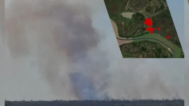 incendios Islas Lechiguanas